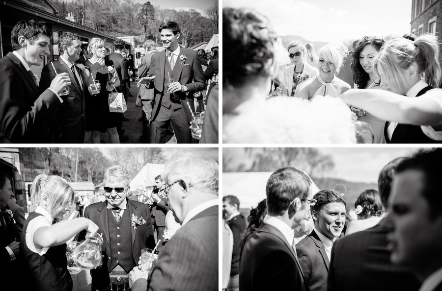 Wedding Guests