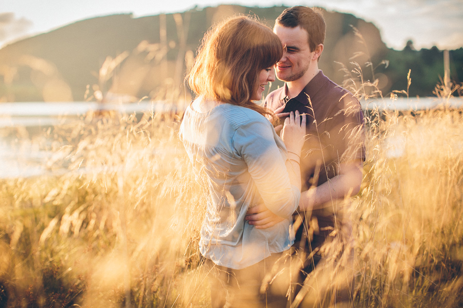 sunlight on the grass