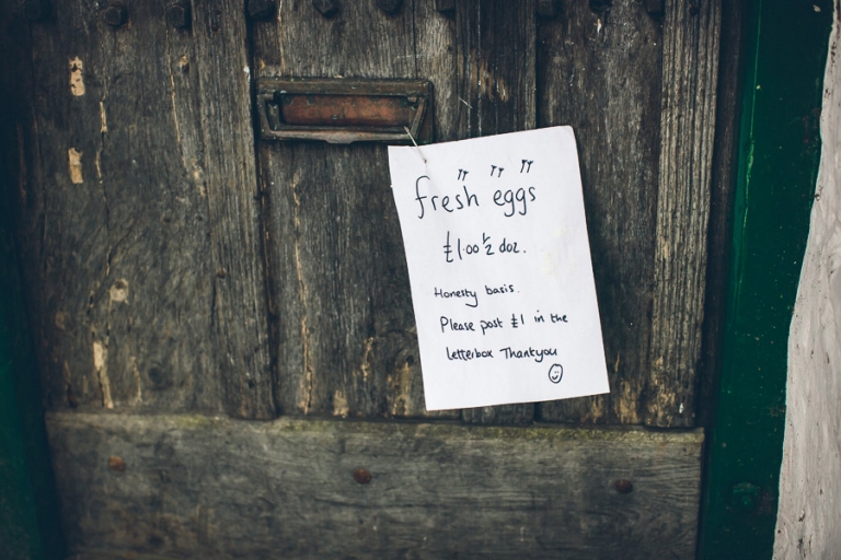 fresh eggs
