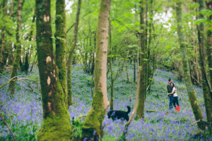 Lake District Engagement